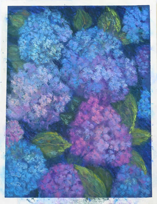 Hydrangeas