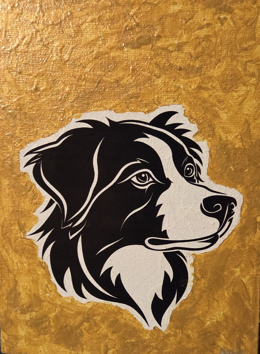 Border Collie Thinking