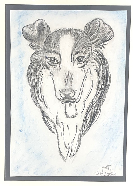 Sketch of a Beautiful Collie Dog