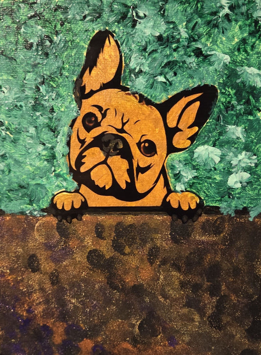 Cheeky Frenchie