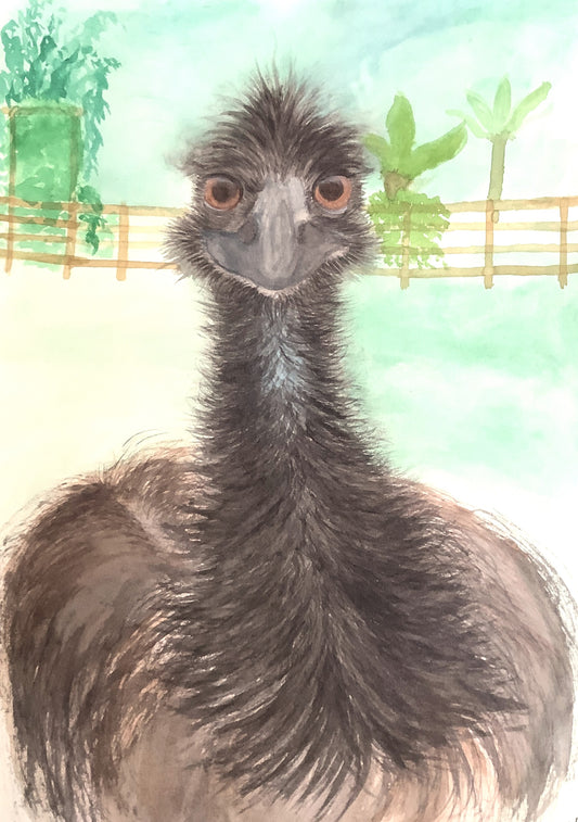 Emmanuel the Emu