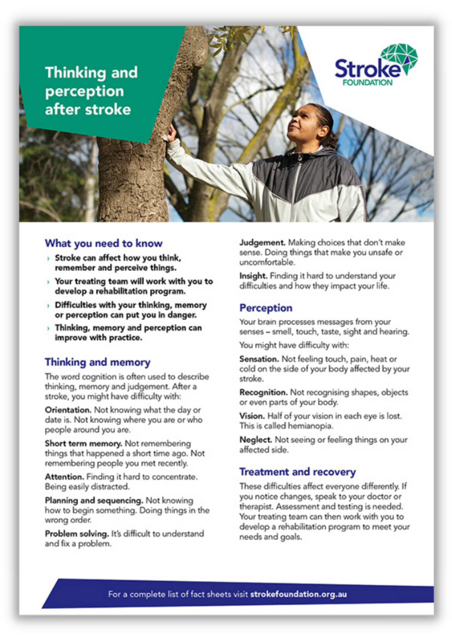 Fact sheet - Thinking and perception after stroke